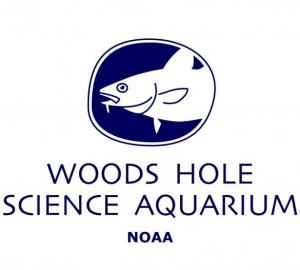  Woods Hole Science Aquarium visit free 