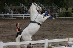 Hermmann's Royal Lipizzan Stallions Show 2016 in Bourne MA