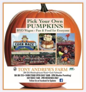 Fall Fun at Tony Andrews Farm  in Falmouth MA