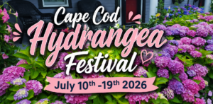 Cape Cod Hydrangea Festival 2026