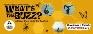 What's the Buzz? A Circus Show Under the Bug Top Wellfleet Harbor Actors Theater 2025